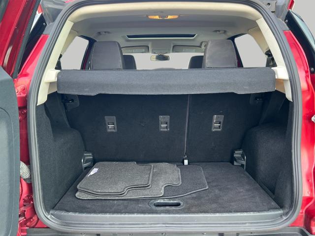 2019 Ford EcoSport Vehicle Photo in Oshkosh, WI 54904