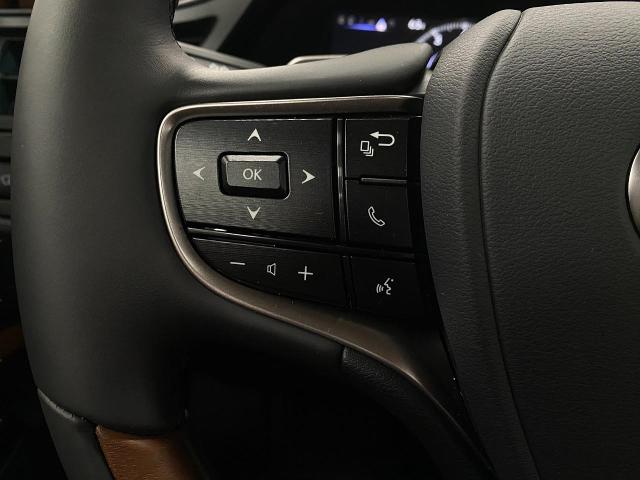 2025 Lexus ES 350 Vehicle Photo in Appleton, WI 54913