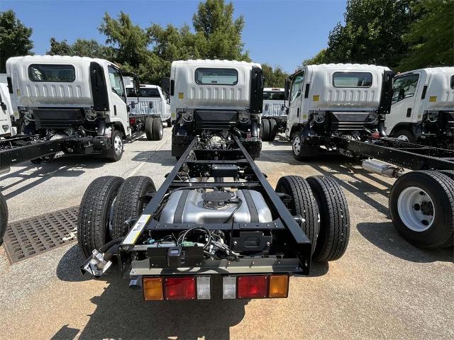 2025 Chevrolet Low Cab Forward 3500 Vehicle Photo in ALCOA, TN 37701-3235