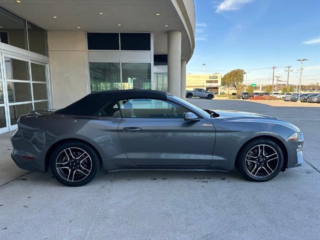 2022 Ford Mustang Vehicle Photo in San Antonio, TX 78230