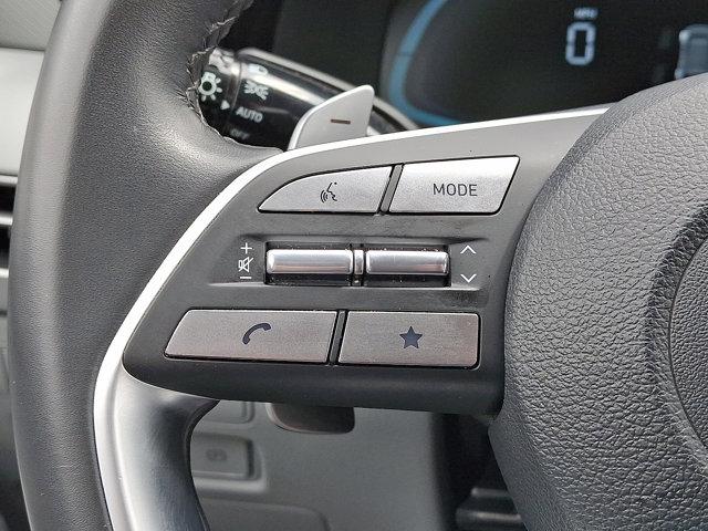 2024 Hyundai PALISADE Vehicle Photo in Philadelphia, PA 19116
