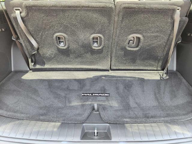 2025 Hyundai PALISADE Vehicle Photo in DENTON, TX 76210-9321