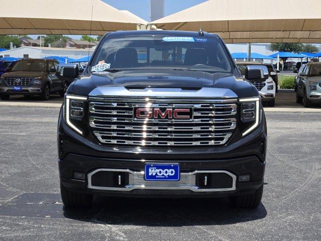 2023 GMC Sierra 1500 Vehicle Photo in Decatur, TX 76234