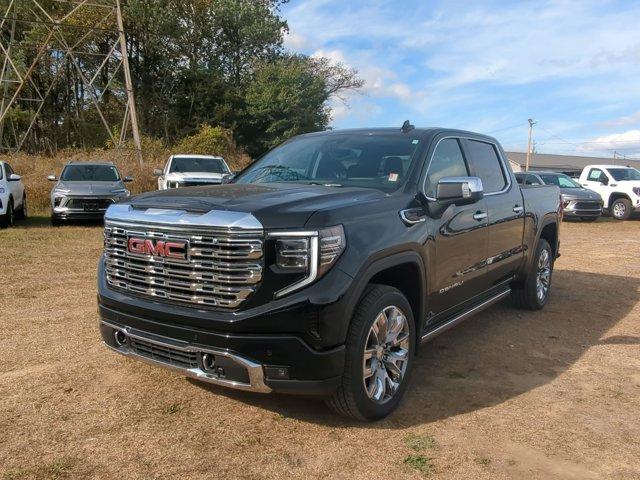 2025 GMC Sierra 1500 Vehicle Photo in ALBERTVILLE, AL 35950-0246