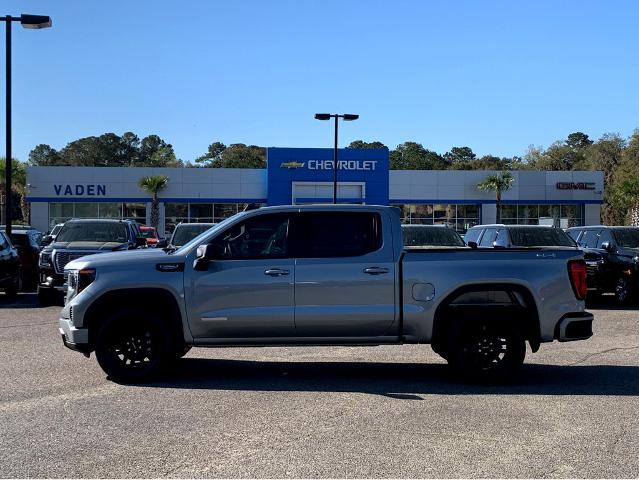 2025 GMC Sierra 1500 Vehicle Photo in BEAUFORT, SC 29906-4218