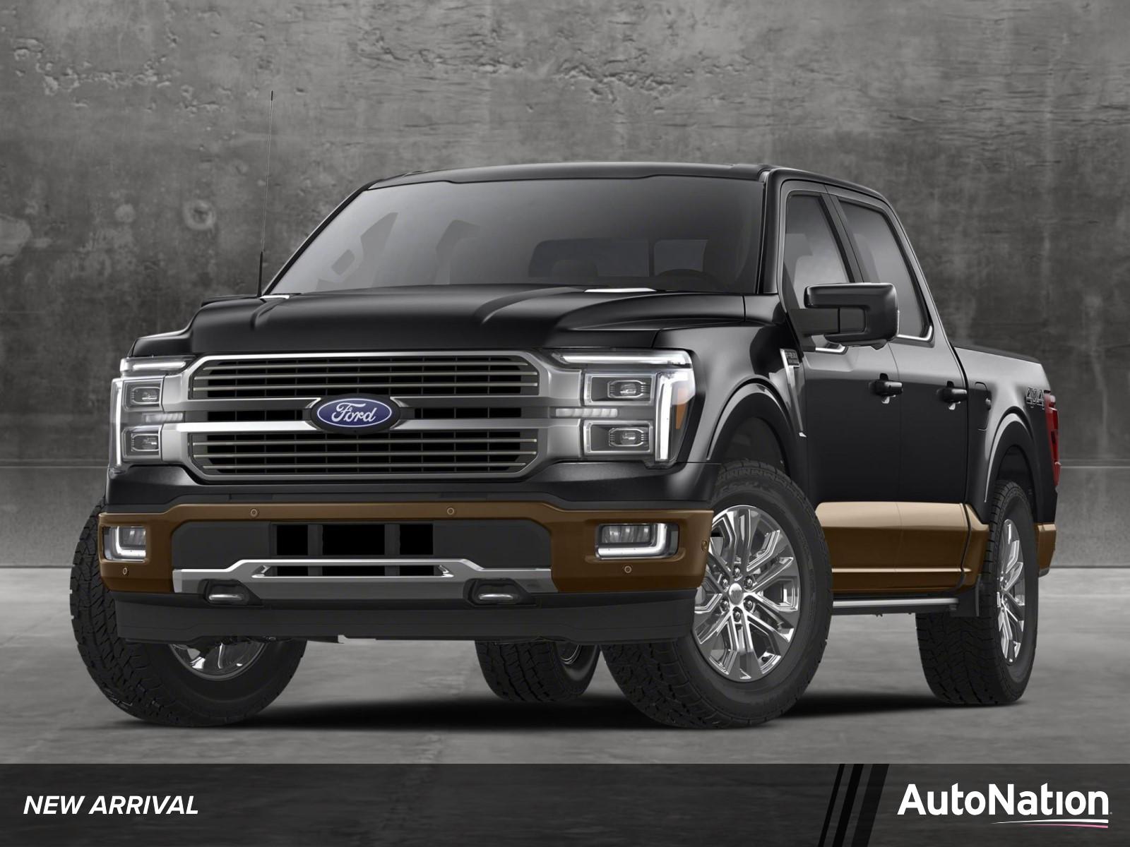 2024 Ford F-150 Vehicle Photo in St. Petersburg, FL 33713