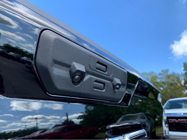 2025 GMC Sierra 1500 Vehicle Photo in BEAUFORT, SC 29906-4218