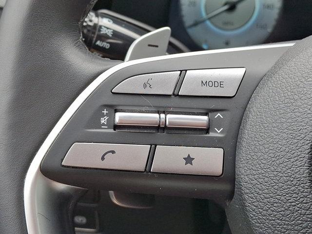 2024 Hyundai PALISADE Vehicle Photo in Philadelphia, PA 19116