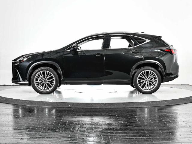 2022 Lexus NX 350 Vehicle Photo in DALLAS, TX 75235