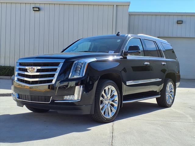 2019 Cadillac Escalade Vehicle Photo in TAMPA, FL 33612-3404