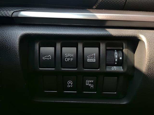 2023 Subaru Forester Vehicle Photo in Green Bay, WI 54304