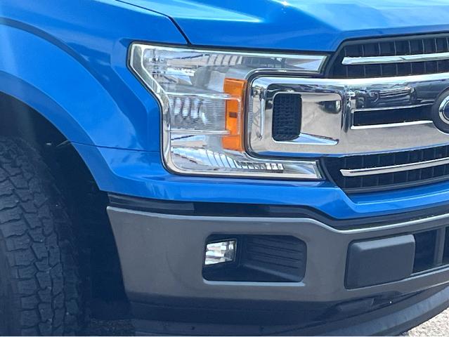 2020 Ford F-150 Vehicle Photo in BEAUFORT, SC 29906-4218