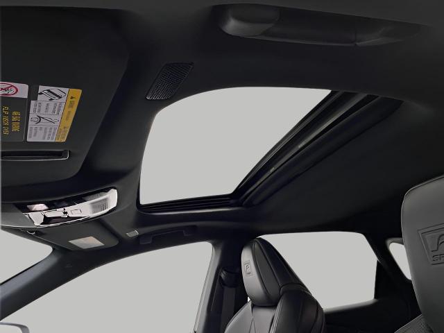 2024 Lexus RX 350 Vehicle Photo in Appleton, WI 54913