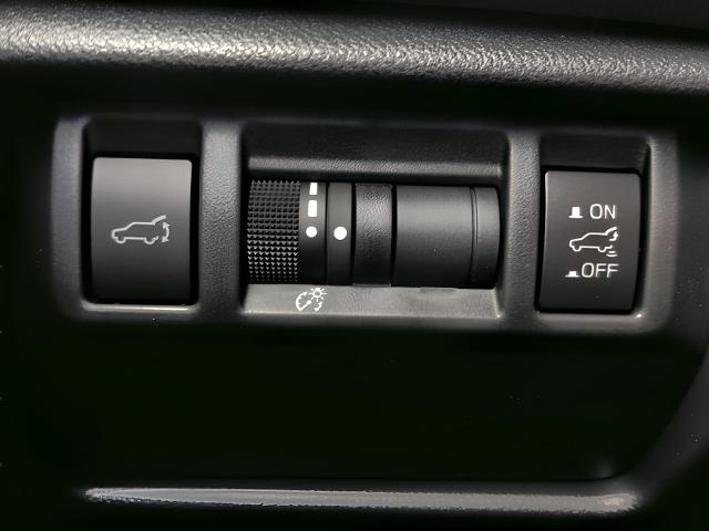 2025 Subaru Forester Vehicle Photo in Green Bay, WI 54304
