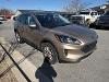 Used 2021 Ford Escape SE with VIN 1FMCU9G68MUA47321 for sale in Bentonville, AR