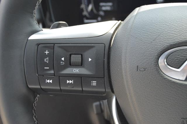 2025 INFINITI QX60 Vehicle Photo in Houston, TX 77090