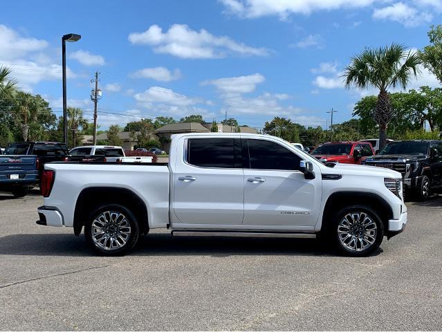 2024 GMC Sierra 1500 Vehicle Photo in BEAUFORT, SC 29906-4218
