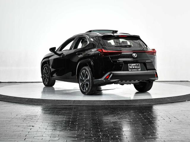 2024 Lexus UX 250h Vehicle Photo in DALLAS, TX 75235