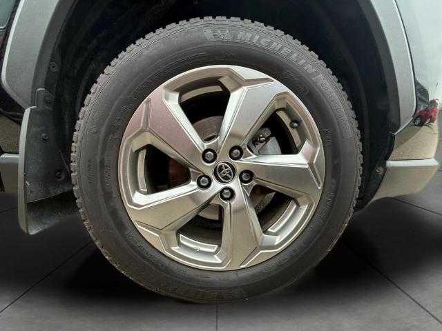 2021 Toyota RAV4 Vehicle Photo in Appleton, WI 54914