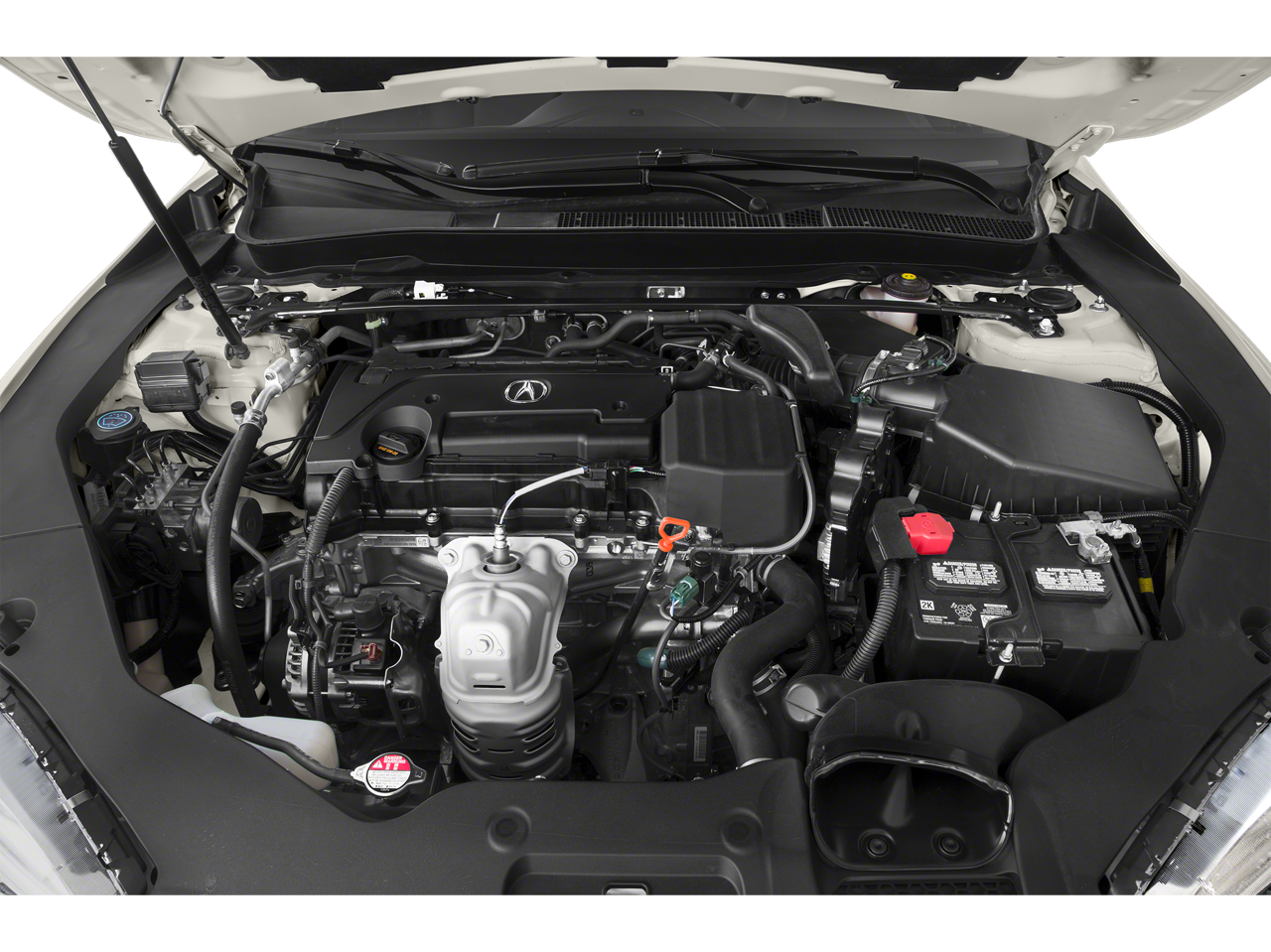 2019 Acura TLX Vehicle Photo in San Antonio, TX 78230