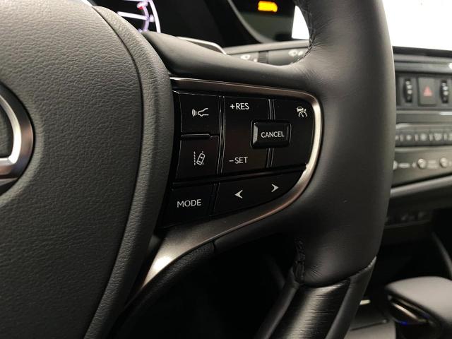 2025 Lexus ES 300h Vehicle Photo in Appleton, WI 54913