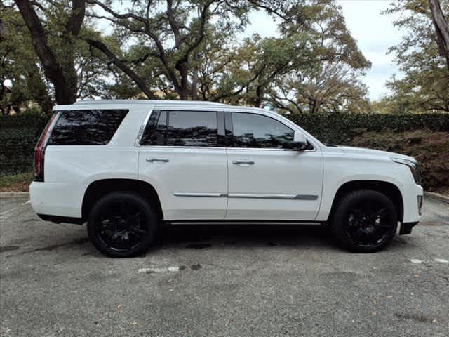 2017 Cadillac Escalade Vehicle Photo in San Antonio, TX 78230-1001