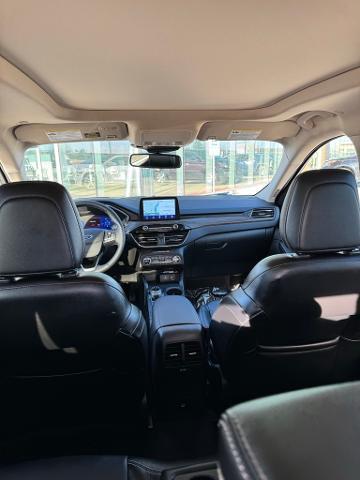 2020 Ford Escape Vehicle Photo in Peoria, IL 61615