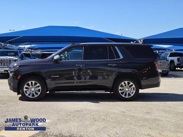 2022 Chevrolet Tahoe Vehicle Photo in DENTON, TX 76210-9321