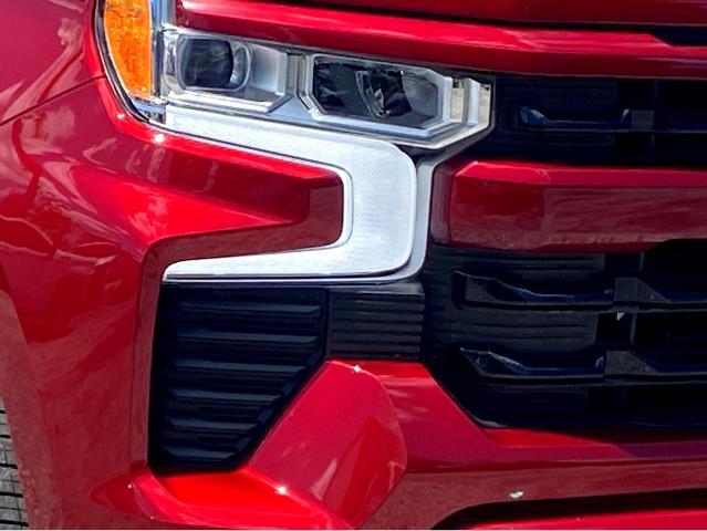 2024 Chevrolet Silverado 1500 Vehicle Photo in BEAUFORT, SC 29906-4218