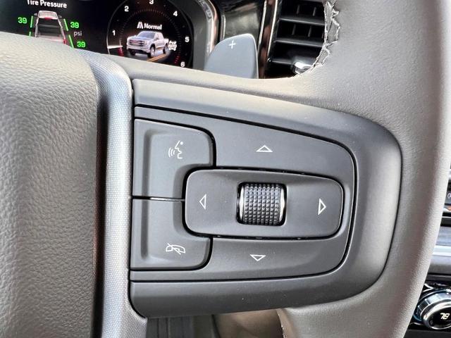 2025 GMC Sierra 1500 Vehicle Photo in EFFINGHAM, IL 62401-2832