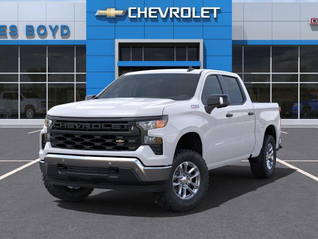 2025 Chevrolet Silverado 1500 Vehicle Photo in HENDERSON, NC 27536-2966