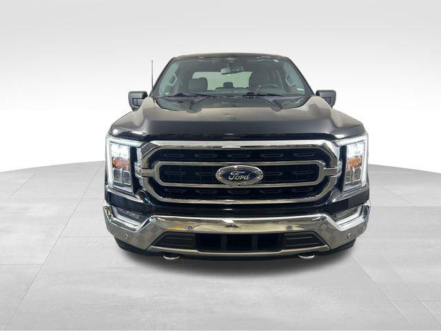 2021 Ford F-150 Vehicle Photo in MEDINA, OH 44256-9631