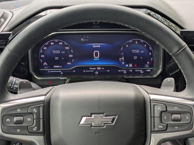 2024 Chevrolet Silverado 1500 Vehicle Photo in BRUNSWICK, GA 31525-1881
