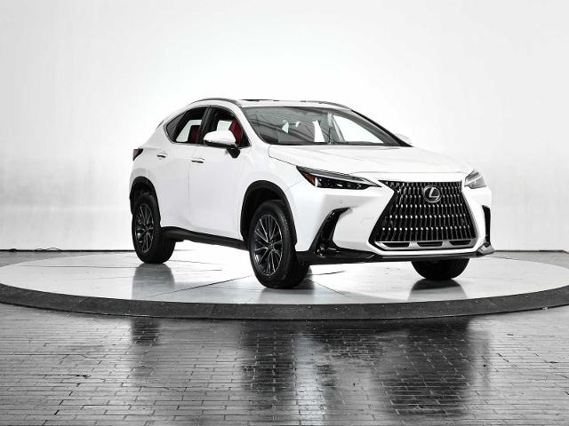 2025 Lexus NX 250 Vehicle Photo in DALLAS, TX 75235