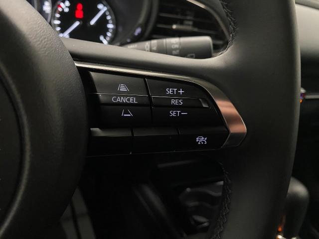 2024 Mazda CX-30 Vehicle Photo in Appleton, WI 54913