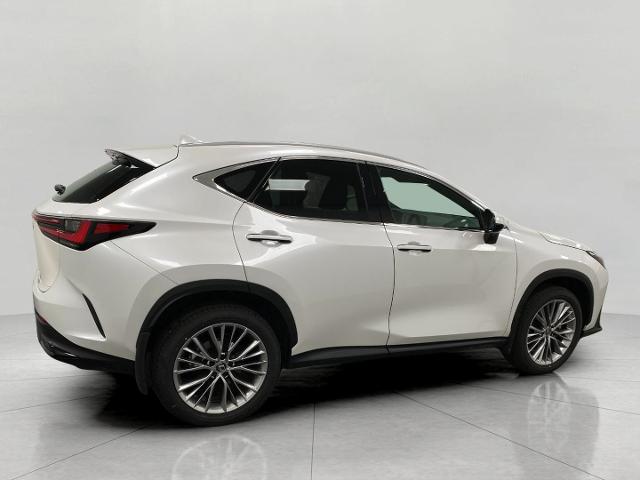 2025 Lexus NX 350 Vehicle Photo in Appleton, WI 54913