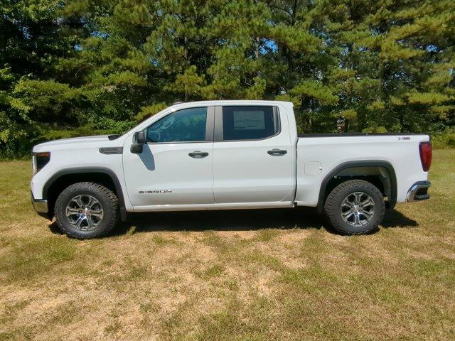 2024 GMC Sierra 1500 Vehicle Photo in ALBERTVILLE, AL 35950-0246