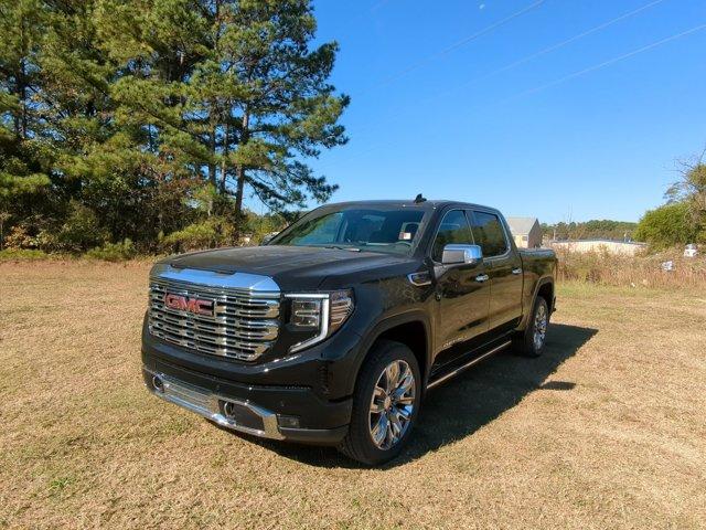 2025 GMC Sierra 1500 Vehicle Photo in ALBERTVILLE, AL 35950-0246