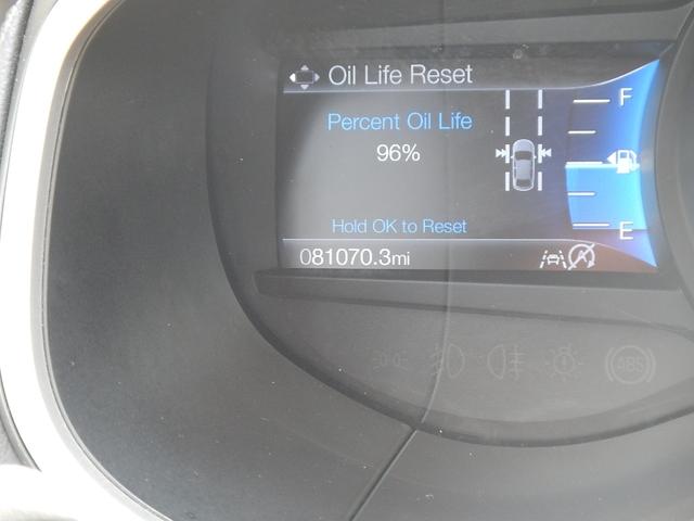 2020 Ford Edge Vehicle Photo in JASPER, GA 30143-8655
