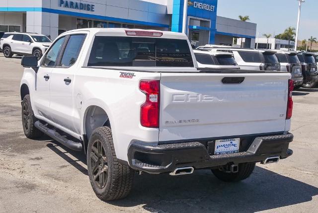 2025 Chevrolet Silverado 1500 Vehicle Photo in VENTURA, CA 93003-8585