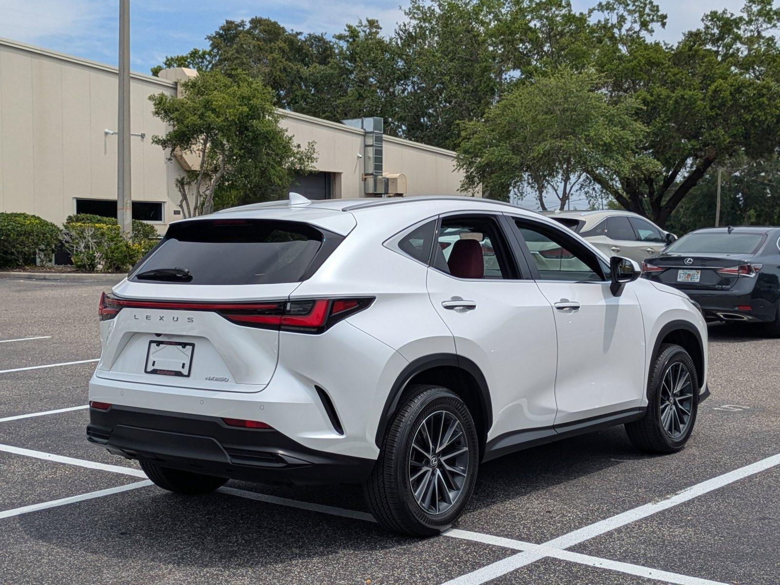 2024 Lexus NX 250 Vehicle Photo in Clearwater, FL 33761