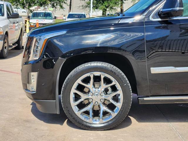 2019 Cadillac Escalade Vehicle Photo in Grapevine, TX 76051