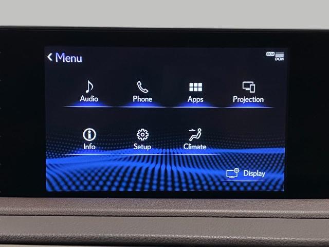 2020 Lexus RX 350 Vehicle Photo in Appleton, WI 54913
