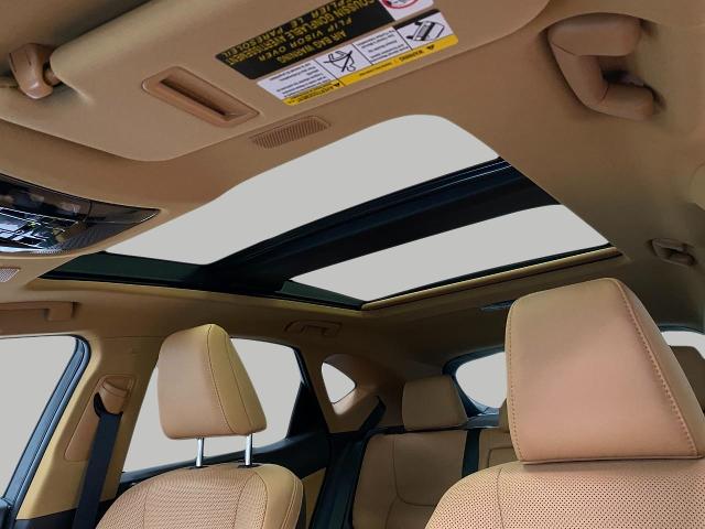 2025 Lexus NX 350h Vehicle Photo in Appleton, WI 54913