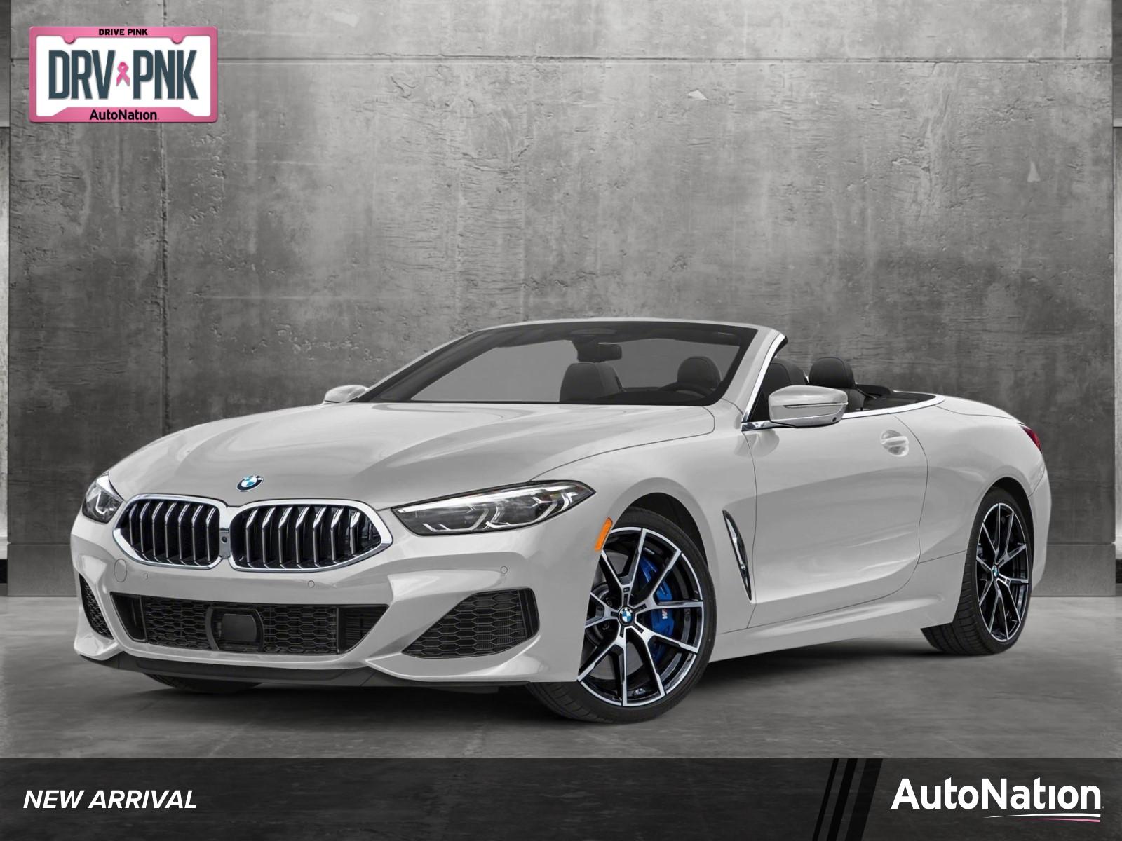 2019 BMW M850i xDrive Vehicle Photo in Sanford, FL 32771