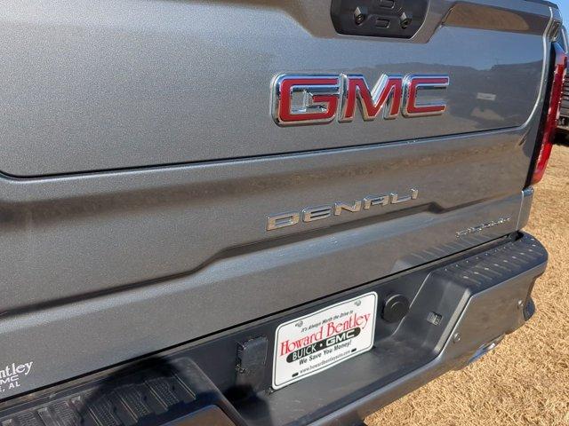 2025 GMC Sierra 1500 Vehicle Photo in ALBERTVILLE, AL 35950-0246