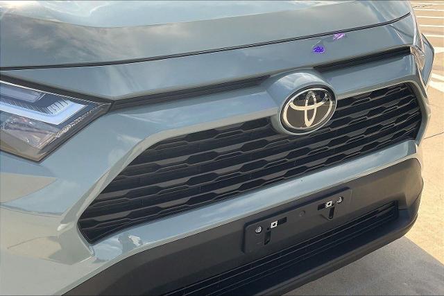 2022 Toyota RAV4 Vehicle Photo in Grapevine, TX 76051