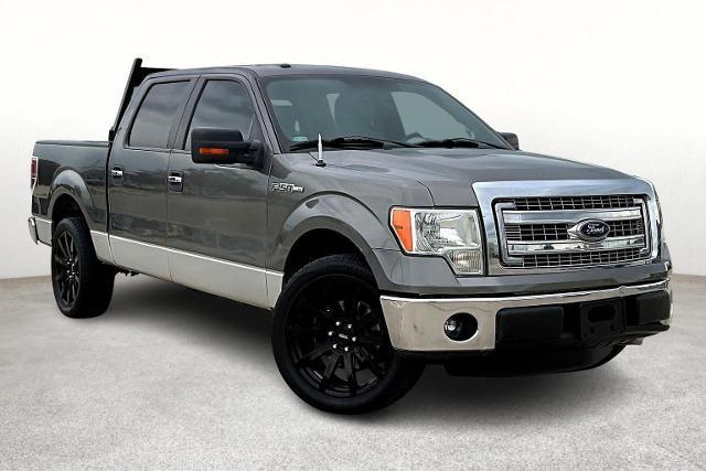 2013 Ford F-150 Vehicle Photo in San Antonio, TX 78230