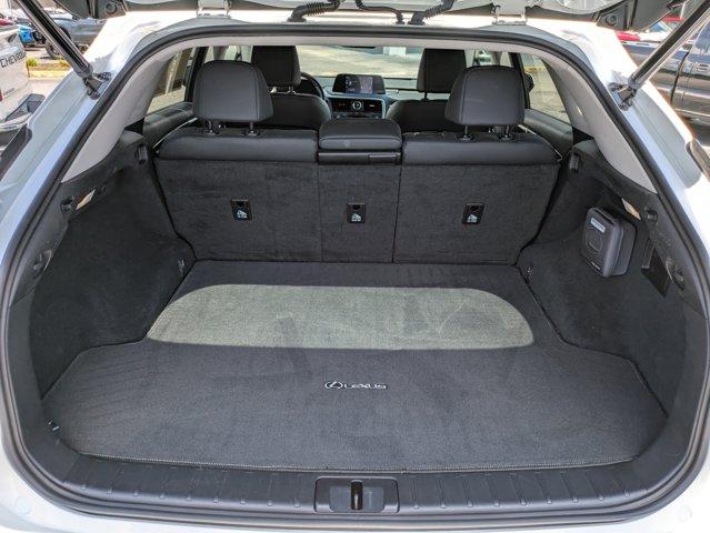 2022 Lexus RX 350 Vehicle Photo in BRUNSWICK, GA 31525-1881