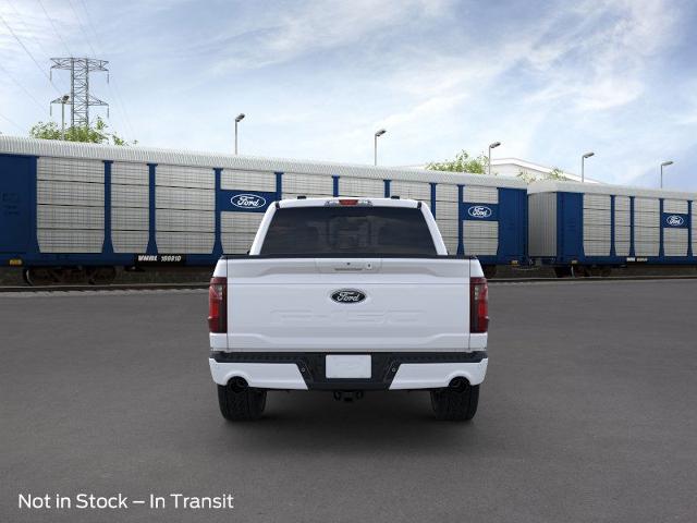 2025 Ford F-150 Vehicle Photo in Winslow, AZ 86047-2439